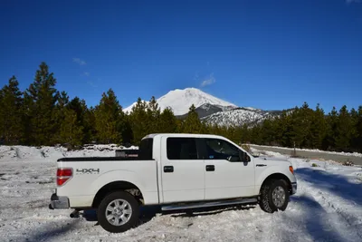 DSC_5904 (Large).JPG